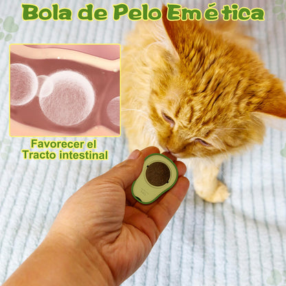 Catnip - Juguete bola hierva gatera interactivo ⚡